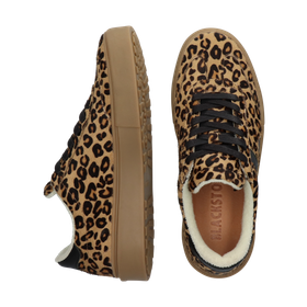 Blackstone QUARTZ AUDEN EL298 Leopard Sneaker (low)