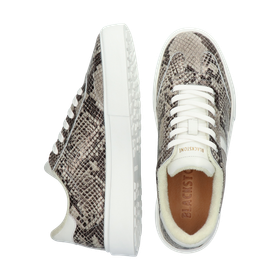Blackstone QUARTZ AUDEN EL280 Snake grey Sneaker (low)