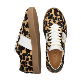 Blackstone SLATE HARPER FL710 Leopard Sneaker (low)