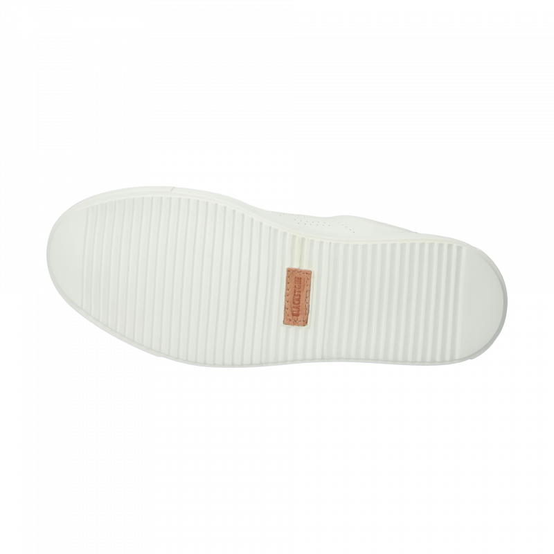 DL272.WGRN_Packshot_8.64a1d236_1734527349_21942